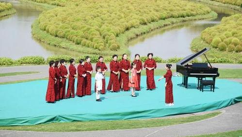 金山网红打卡景点看花,金山网红打卡景点赏花指南