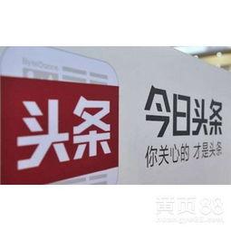 今日头条浙江代理,助力本地企业数字化转型，开启智慧营销新篇章