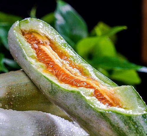 湿气重的人吃脆瓜,脆瓜助力湿气重人群健康生活