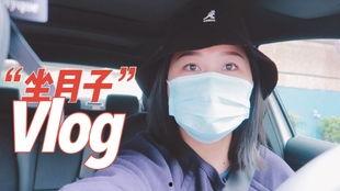 呆瓜by张嘴吃蘑菇,张嘴吃蘑菇的奇幻冒险之旅