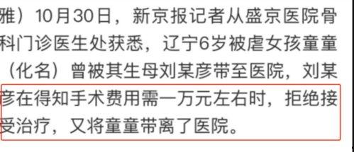 辽宁抚顺爆料案件最新,揭开尘封真相，追踪背后黑幕