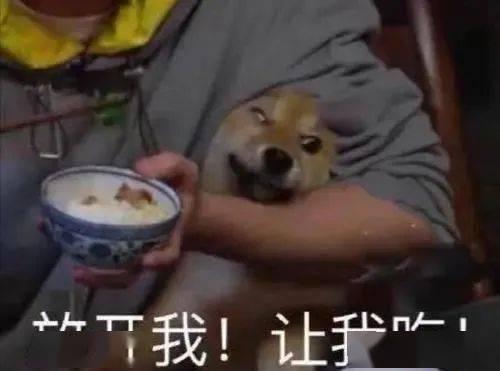 带你吃瓜开箱搞笑视频,搞笑开箱视频带你吃瓜欢乐时光