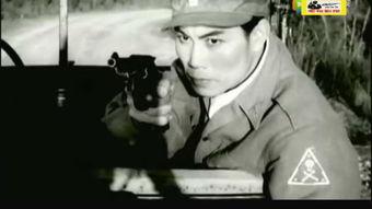 侦察兵在线观看,在线揭秘神秘军旅生活