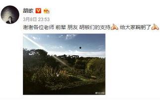 胡歌替身事件明星力挺,众明星纷纷力挺，友谊与支持见证娱乐圈正能量