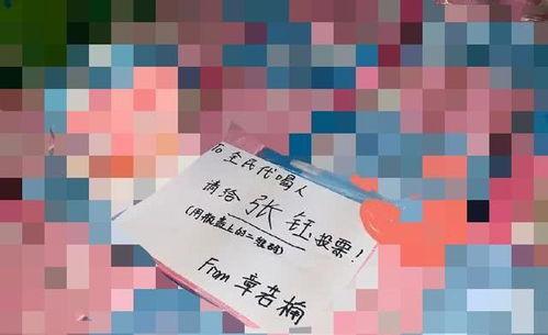 明星应援箱,揭秘偶像粉丝的疯狂世界