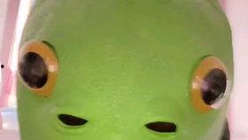 吃瓜自取视频,趣味横生的幕后故事