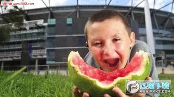 阁楼少年吃瓜表情包,揭秘网络潮流背后的趣味与思考