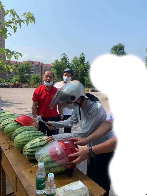 在哪可以看吃瓜事件,吃瓜事件实时追踪指南