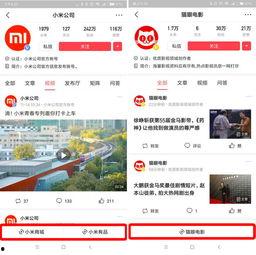 今日头条商城免费小程序,轻松开启电商新体验