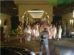 party最新爆料,深度解析重大事件背后真相