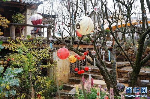 凤阳网红有哪几个村,探寻乡村新风尚的璀璨明珠