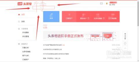 头条审核怎么进入主页