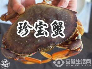 上海斯里兰卡网红螃蟹,斯里兰卡风味美食的璀璨明珠