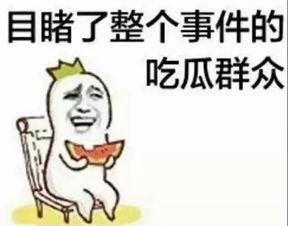 开心哥吃瓜群众,揭秘娱乐圈幕后故事