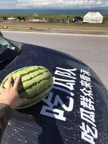 吃瓜队队名,揭秘娱乐圈背后的甜蜜与苦涩