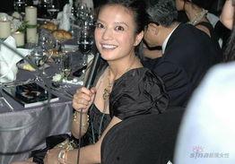 明星2007,璀璨星光闪耀娱乐圈