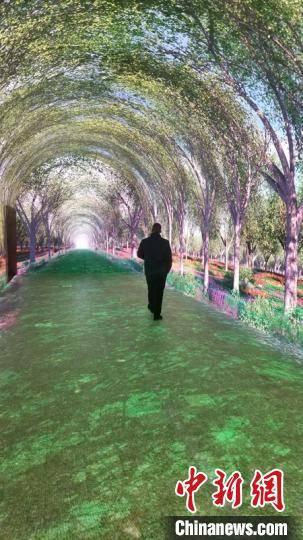 江苏时光隧道网红打卡,穿越历史，邂逅网红打卡新地标