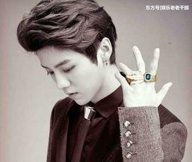 鹿晗同人文女主是明星,鹿晗与明星女主的甜蜜邂逅