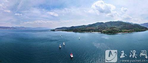 明星鱼洞离澄江有多远