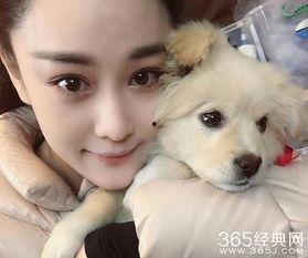 女明星与狗,甜蜜互动背后的感人故事