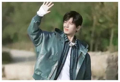 成毅娱乐消息爆料,揭秘明星幕后故事