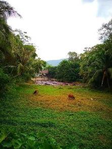 崖州 网红景点门票,畅游热门打卡地，轻松解锁优惠门票