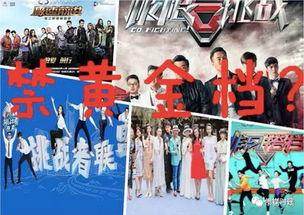 禁止全明星综艺,全明星综艺禁令下的娱乐新篇章