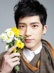 明星宇春,音乐梦想的璀璨星辰