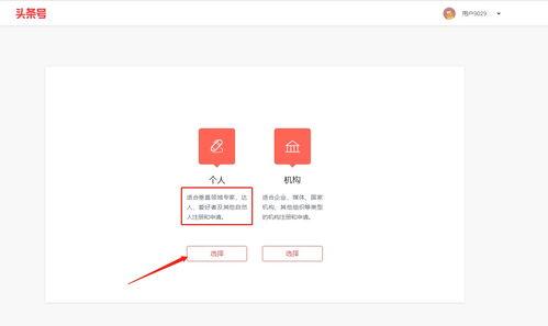 头条新用户怎么申请认证,轻松开启身份认证之旅